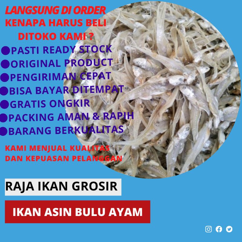 Jual Ikan Asin Bulu Ayam Terbaik Gram Shopee Indonesia