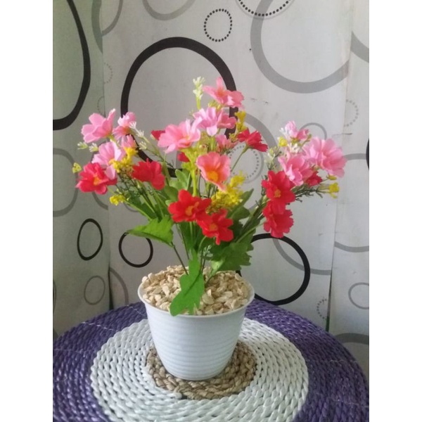 Jual bunga Krisan rimbun | Shopee Indonesia