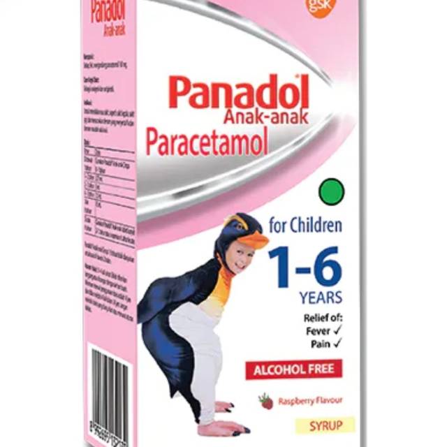 Jual Panadol paracetamol 160mg/5ml Anak Syrup 16 years Shopee Indonesia