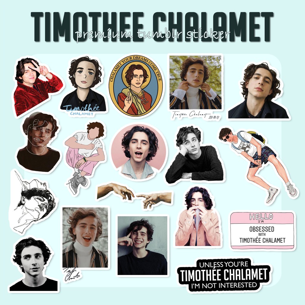 Jual Sticker Tumblr Timothee Chalamet | Shopee Indonesia