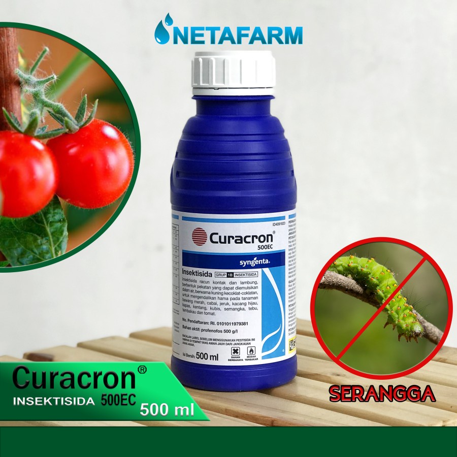 Jual Insektisida Curacron 500 EC Syngenta Profenofos Pembasmi hama ...