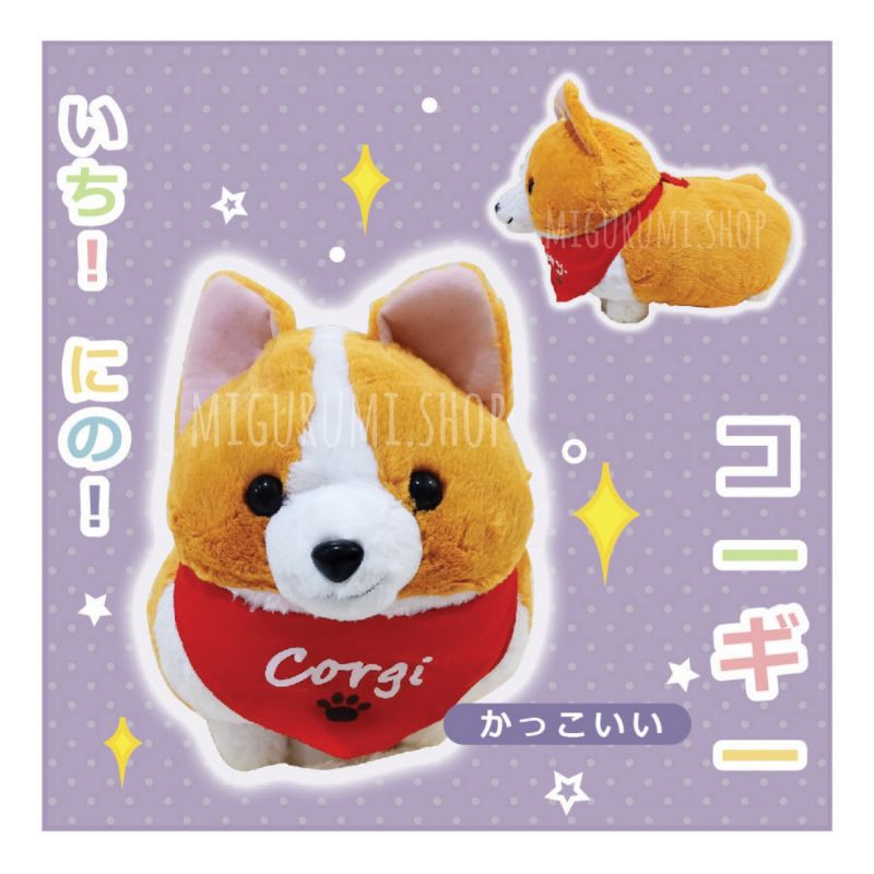 Ichini the corgi online