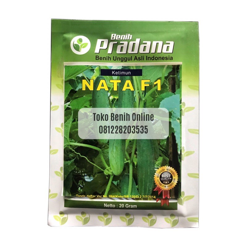 Jual Benih Timun Hibrida Nata F Gram Benih Pradana Timun Lalap Benih Sayuran Timun