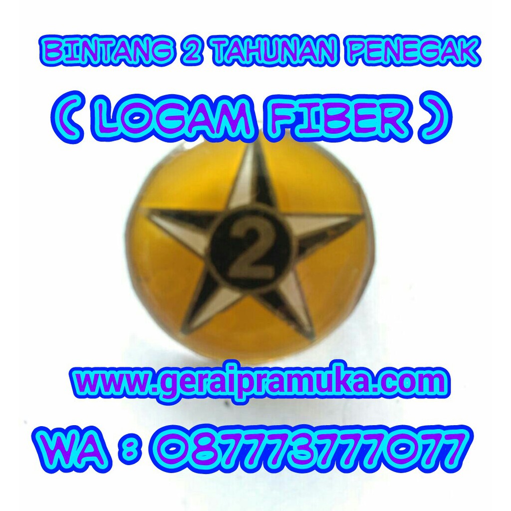 Jual Pin Bintang 2 Tahunan Penegak | Shopee Indonesia