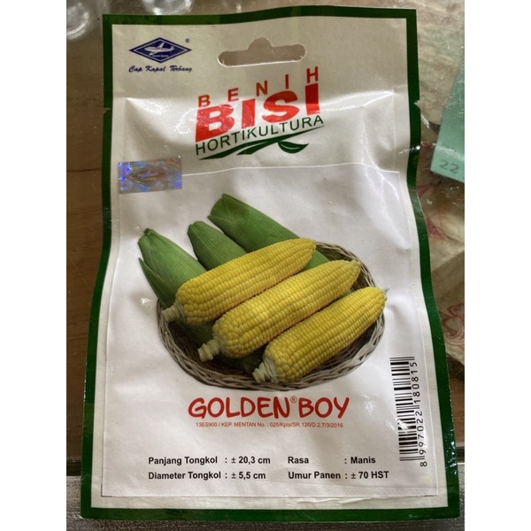 Jual Benih Jagung Manis Golden Boy Bisi Shopee Indonesia