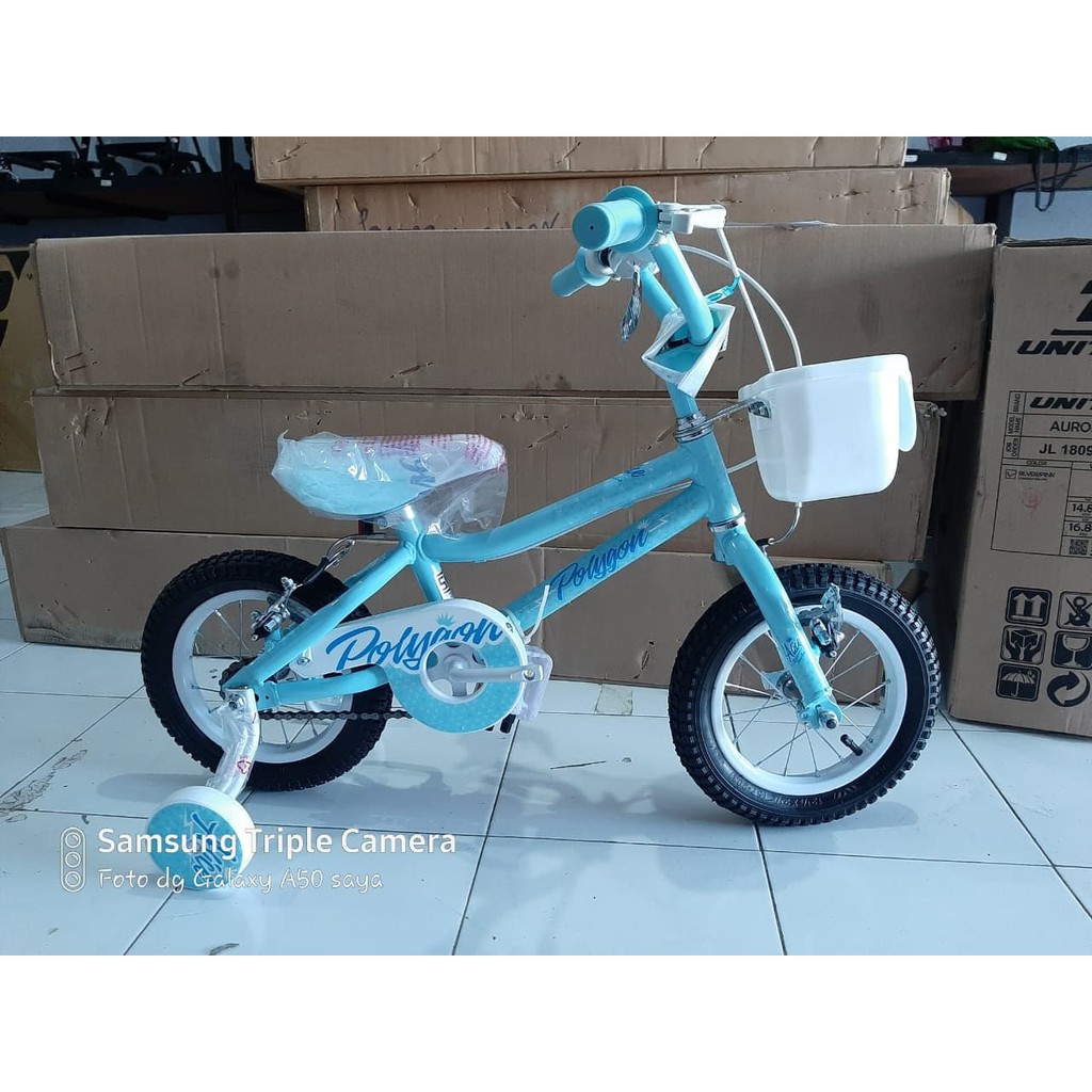 Jual Sepeda Anak MINI PEREMPUAN KIDS BIKE 12 INCH POLYGON ALICE | Shopee  Indonesia