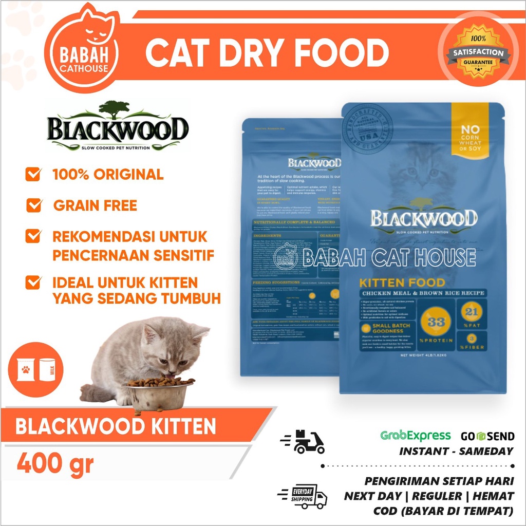 Blackwood kitten sale