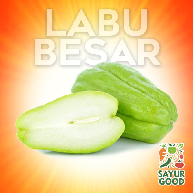 Jual Labu Siam Besar Segar 1 Pcs ( Sayur Segar ) | Shopee Indonesia