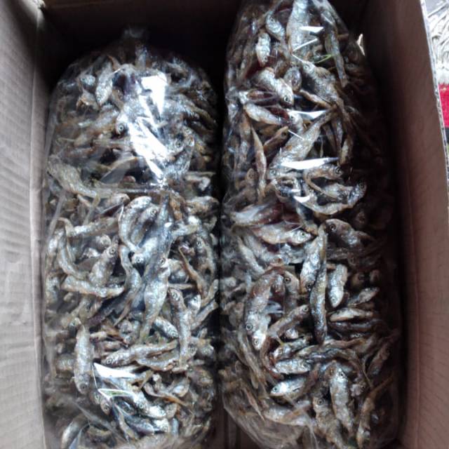 Jual Ikan Bilih Khas Danau Singkarak Sumbar Lauk Bilih Shopee Indonesia