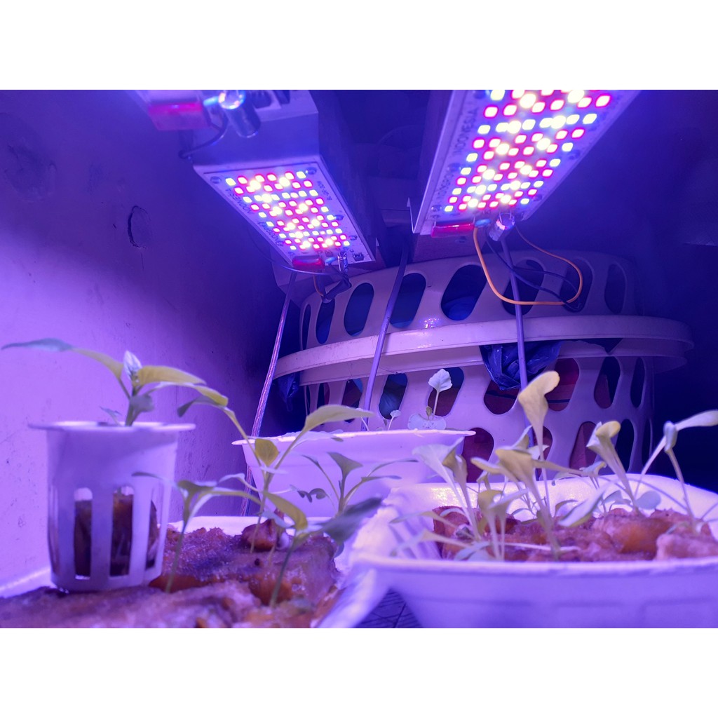 Jual lampu led grow light 30W full spectrum asli buatan indonesia ...