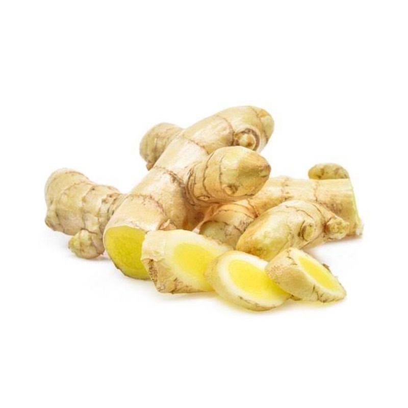 Jual Kunyit Putih Temu Putih Segar 1kg Curcuma Zedoaria Shopee Indonesia 6939