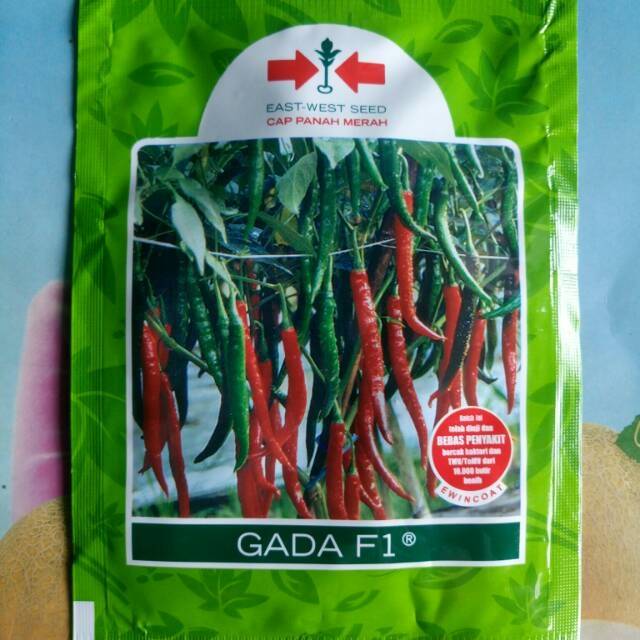 Jual Benih Bibit Cabe Merah Besar Gada F Biji Shopee Indonesia