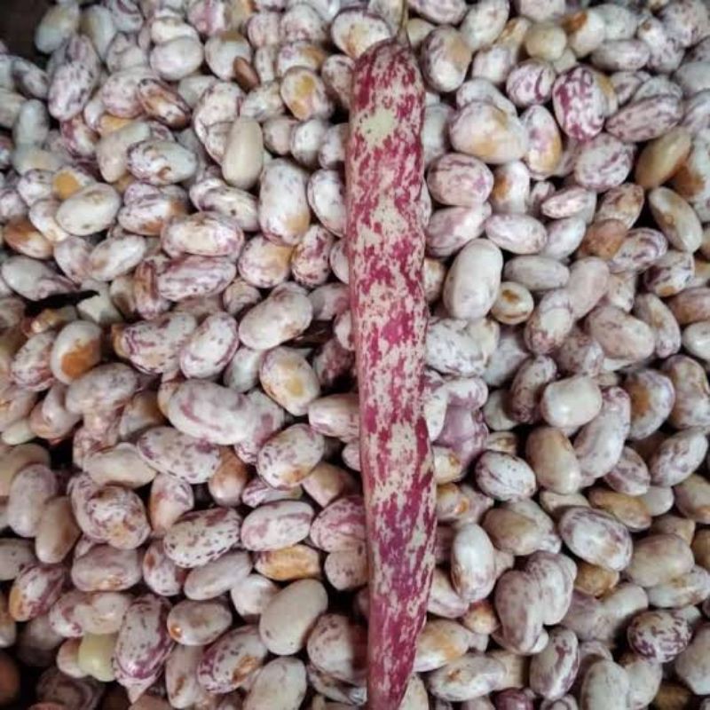 Jual kacang endul 250gr | Shopee Indonesia