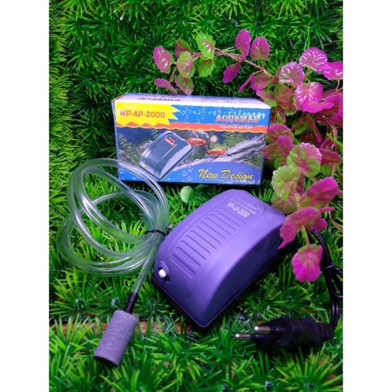 Jual ERATOR AQUAMAN WP-200 AQUARIUM/AQUASCAPE | Shopee Indonesia