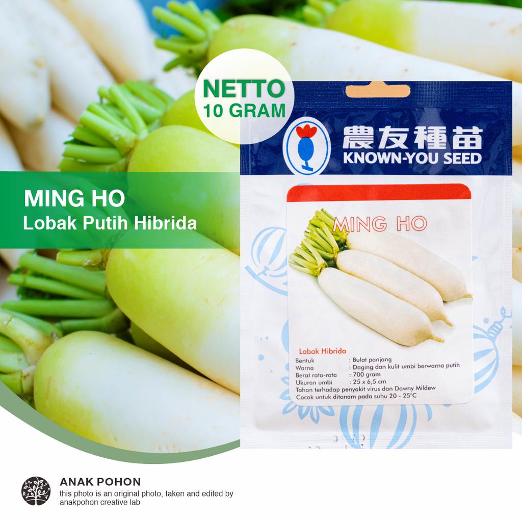 Jual 1 Pack Benih Lobak Putih Ming Ho F1 White Radish Mingho Hibrida