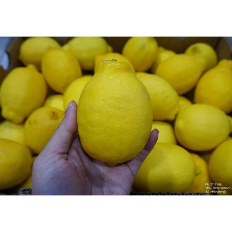 Jual Lemon Import segar 1kg | Shopee Indonesia