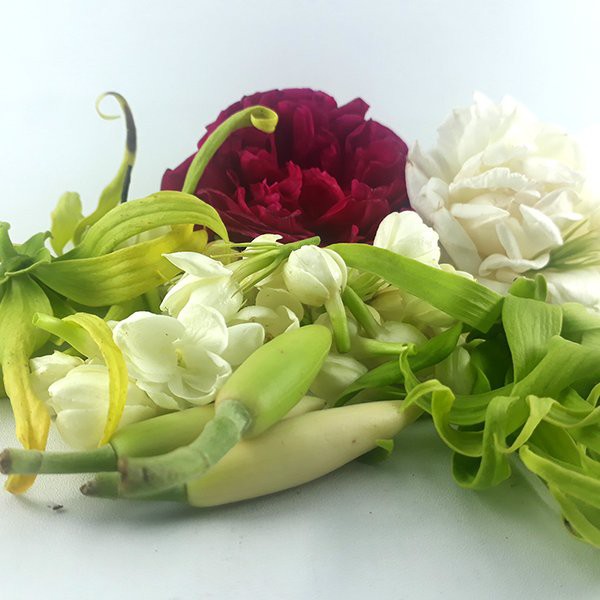 Jual Bunga 7 Rupa Fresh | Shopee Indonesia