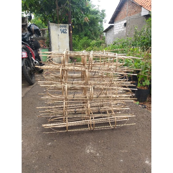 Jual Turus Tanaman Rambat Bahan Bambu Natural Minimal 5Pcs | Shopee ...
