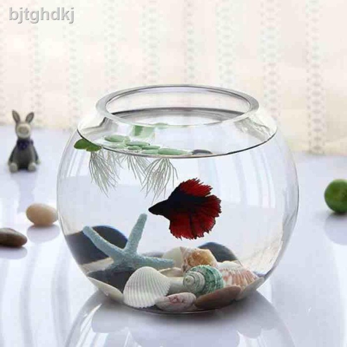 Jual Mangkok Kaca - Aquarium Akuarium Toples Vas Fish Bowl Bulat Kaca W ...