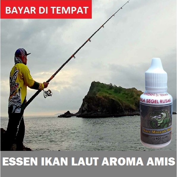 Jual ESSEN IKAN LAUT AROMA AMIS ORI COD | Shopee Indonesia