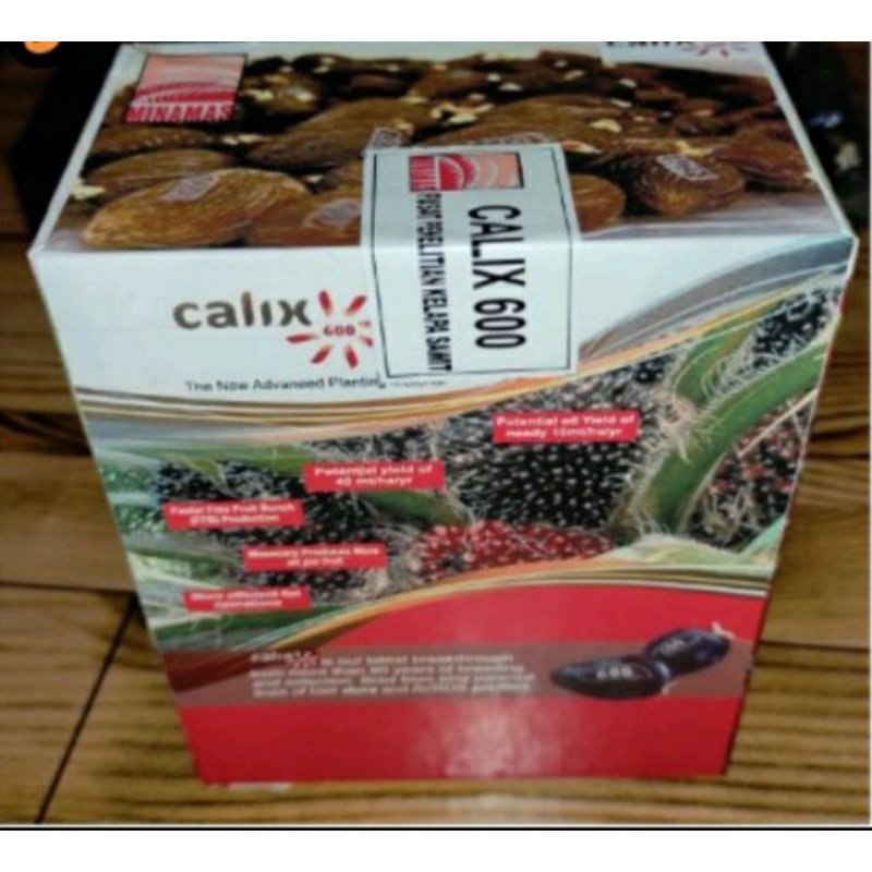 Jual bibit cambah sawit calix 600 unggul | Shopee Indonesia