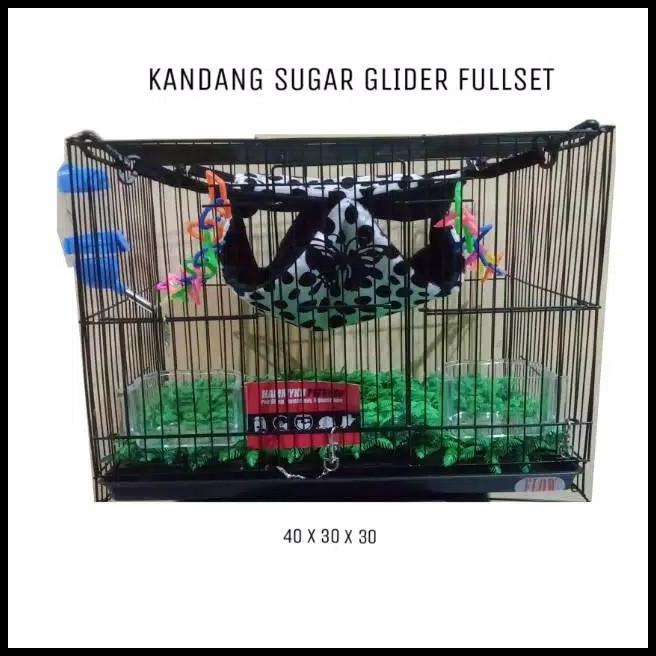 Jual Kandang Sugar Glider Paket Kandang Sugar Glider Shopee Indonesia