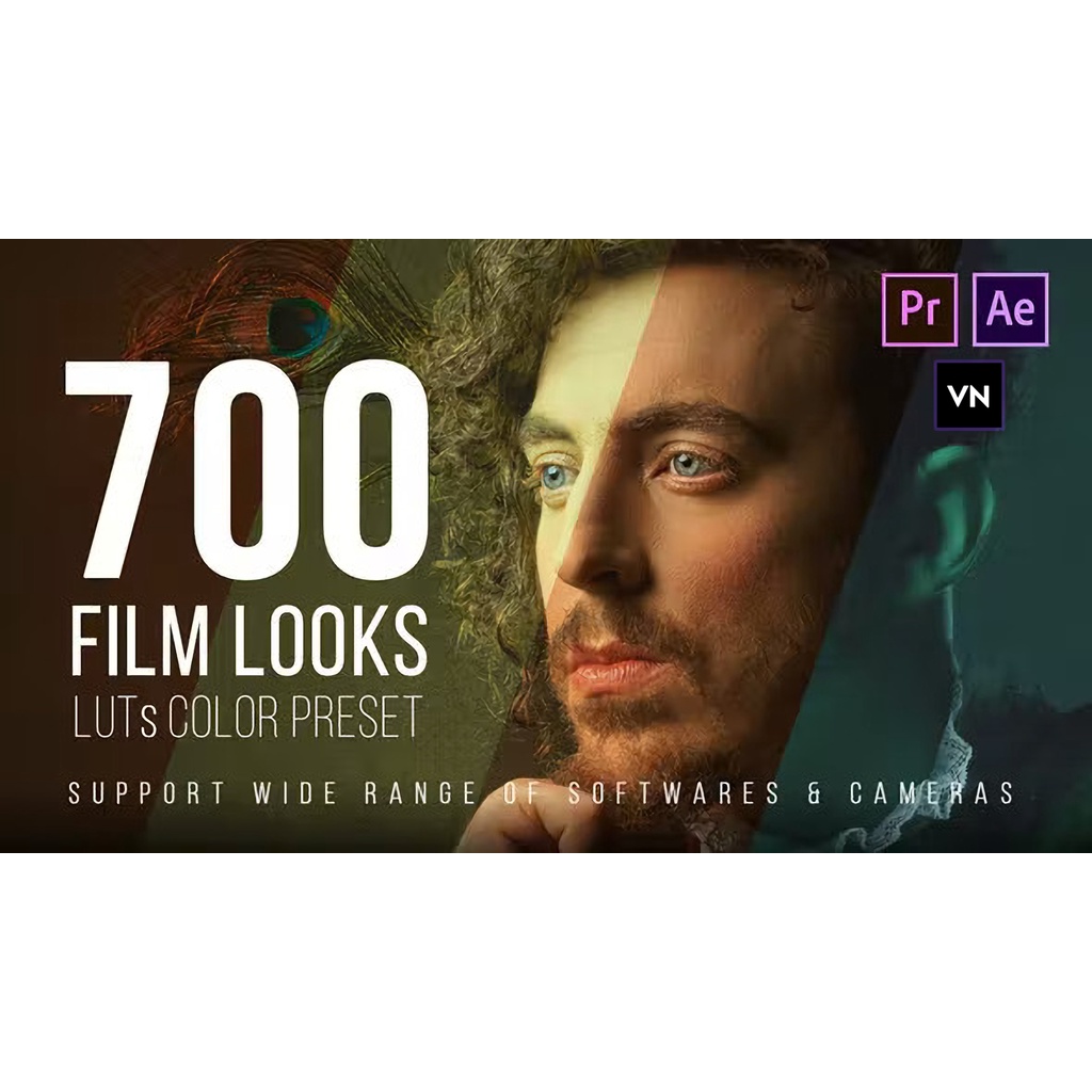 Jual 700+ Film Cinematic LUT Color Grading Preset Pack (Bisa Premiere