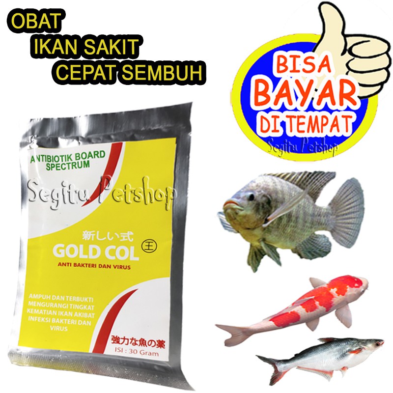 Jual Obat Ikan Antibiotik Gurame Emas Patin Udang Nila Lele Koi