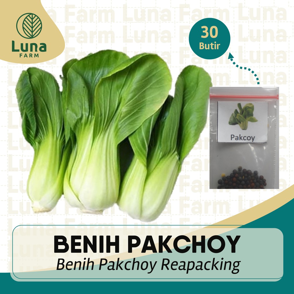 Jual Benih Pakcoy 30 Butir Biji Bibit Sayuran Daun Seribuan Shopee