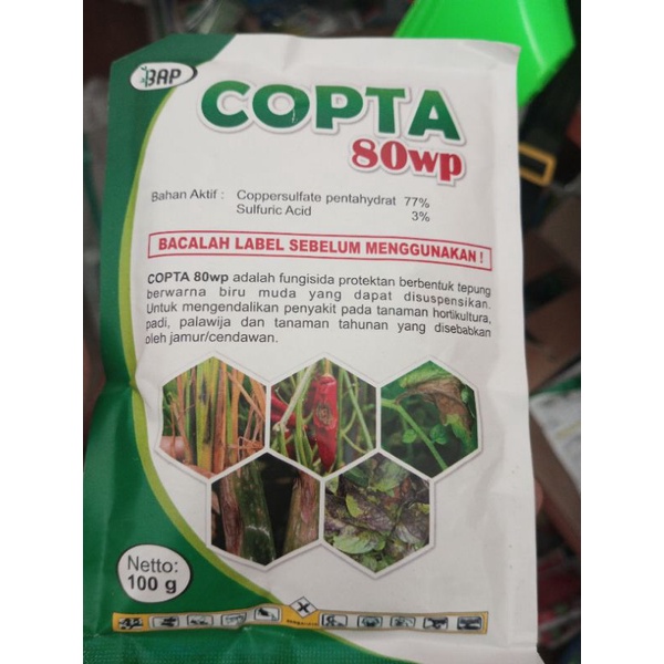 Jual tembaga copta 80wp sejenis copcide 100 dan 500gram | Shopee Indonesia