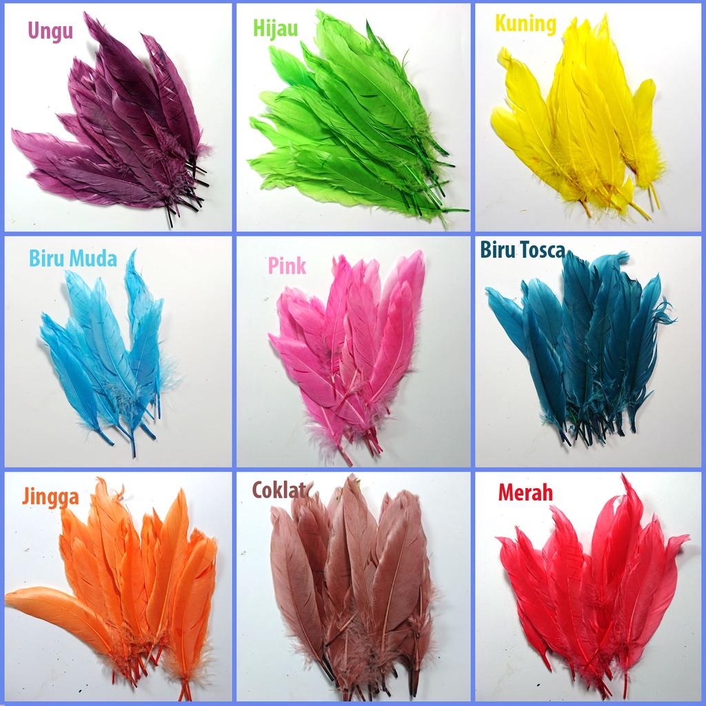 Jual Bulu Ayam Warna warni Halus/Lembut Per 100 Prakarya Kerajinan Tangan