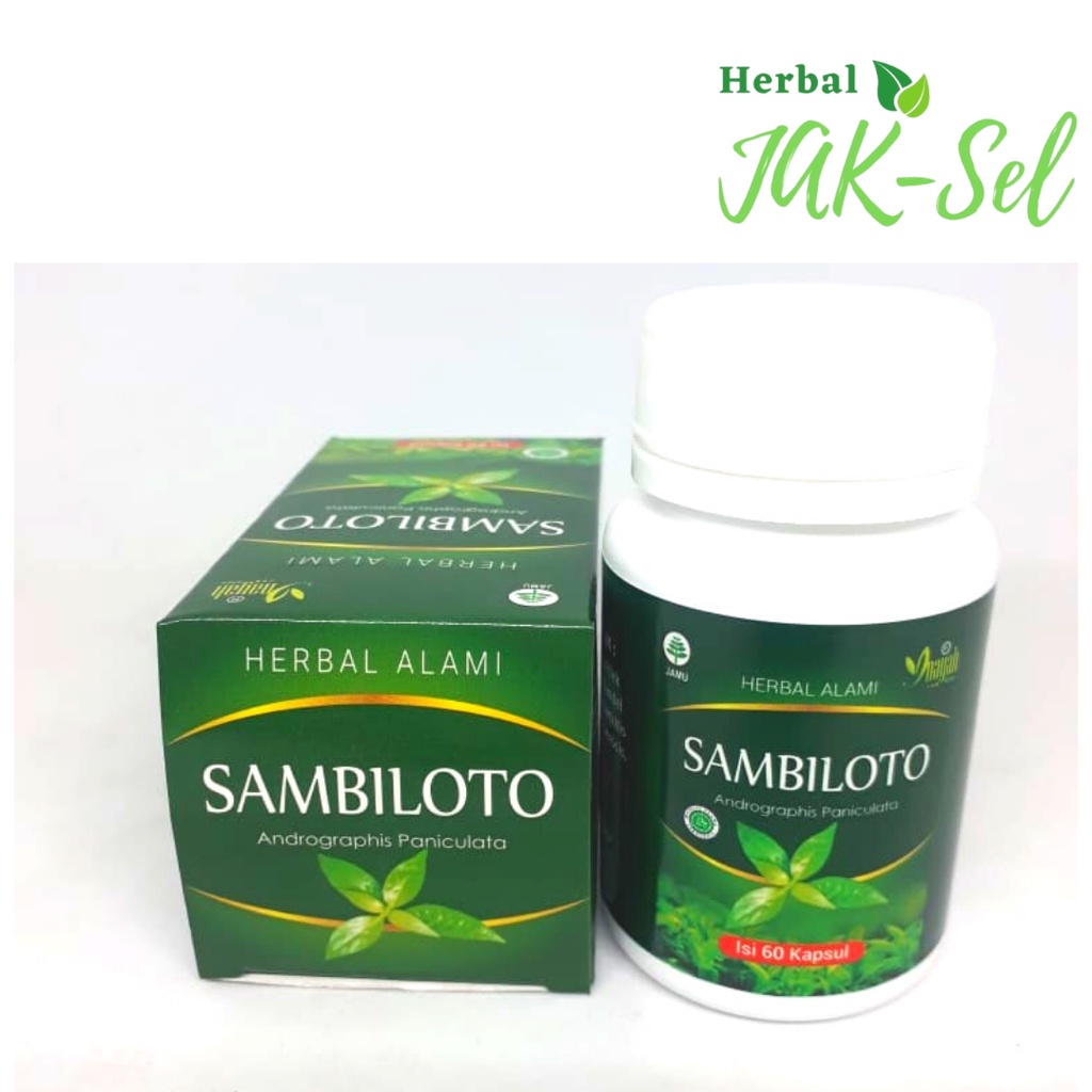 Jual Herbal Sambiloto Kapsul Herbal Sambiloto Kapsul Shopee Indonesia