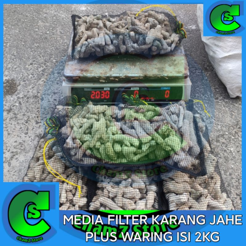 Jual karang jahe media filter plus waring isi 2kg / karang jahe media filter kolam / karang jahe