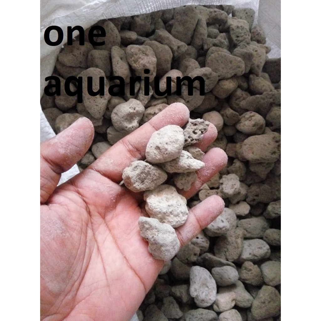 Jual Batu Apung pumice Rumah Bakteri Media Filter 1kg aquarium Shopee