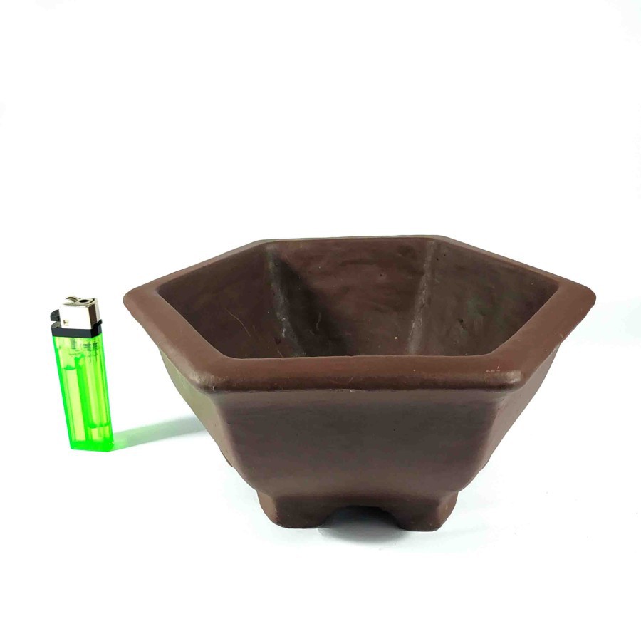 Pot Bonsai Tanaman Segi Enam Dekorasi Pohon Bonsai