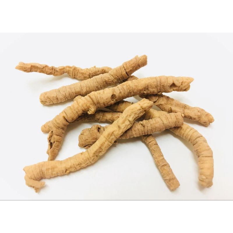 Jual Yuan Zhi Tong - Yuan Zhi Rou 25-50-100g - Yen Ci - Radix Polygalae ...