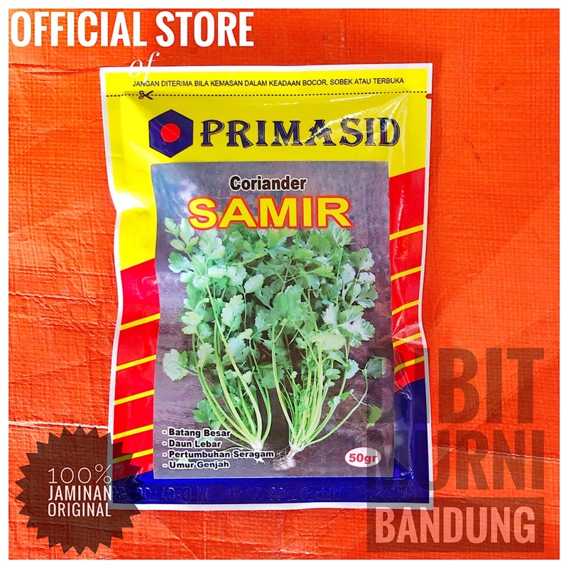 Jual Benih Bibit Ketumbar Coriander Yansui Samir 50 Gram Original Pack