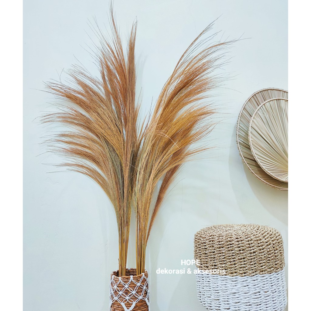 Jual GROSIR PAMPAS/RAYUNG DEKORASI RUSTIC, FOTO STUDIO MURAH MERIAH