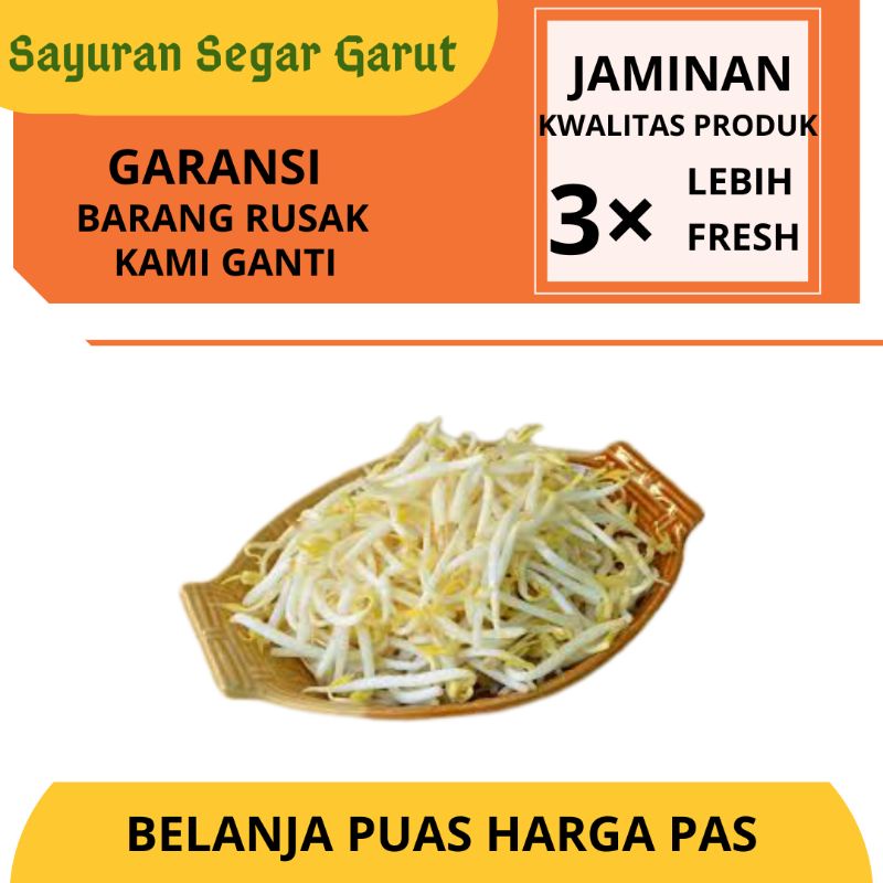 Jual Sayur Toge Tauge Kecambah Lokal Panjang Pendek Super Segar Fresh ...