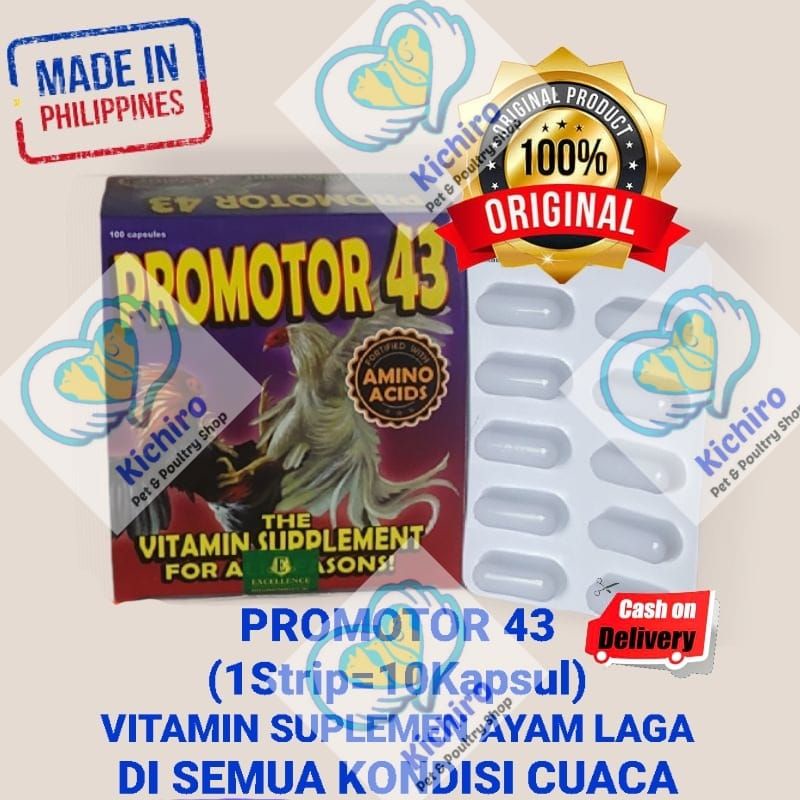 Jual Promotor 43 isi 10 Kapsul Import Filipina Philipin Vitamin ...