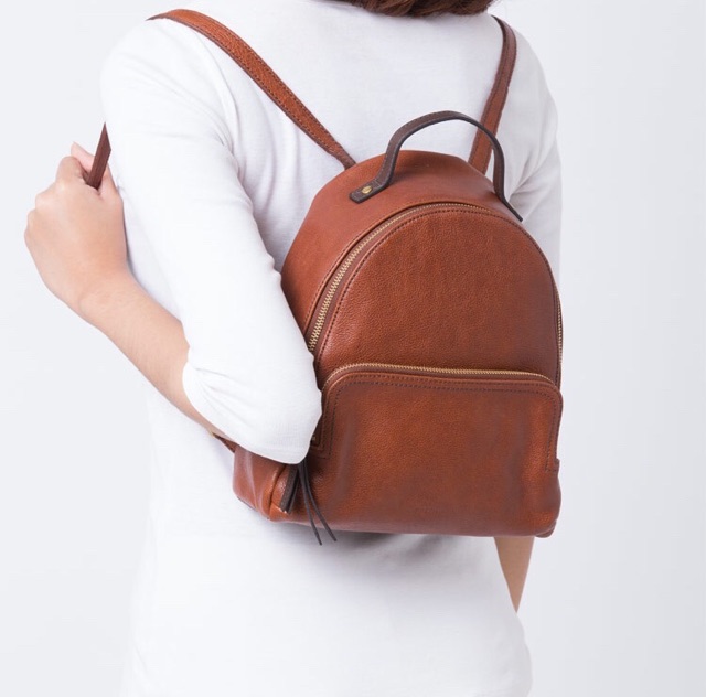 Fossil hotsell backpack felicity