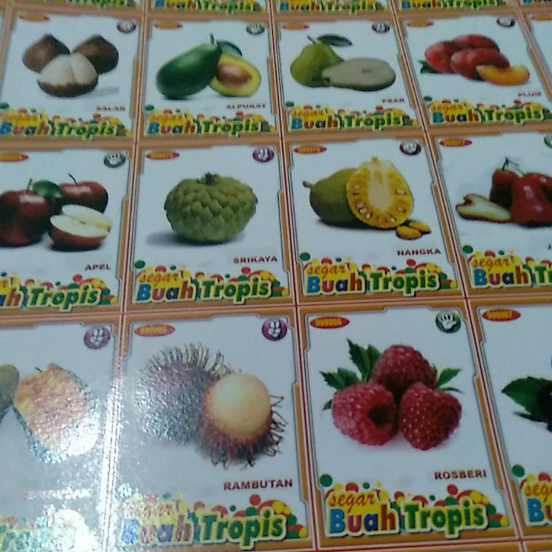 Jual Poster Buah Buahan Shopee Indonesia