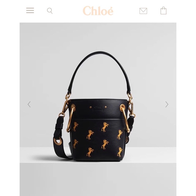 Chloe horse bucket bag hotsell