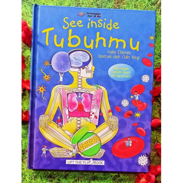 Jual kode KE- READY SEE INSIDE TUBUHMU ( BUKU lift the flap terjemahan ...