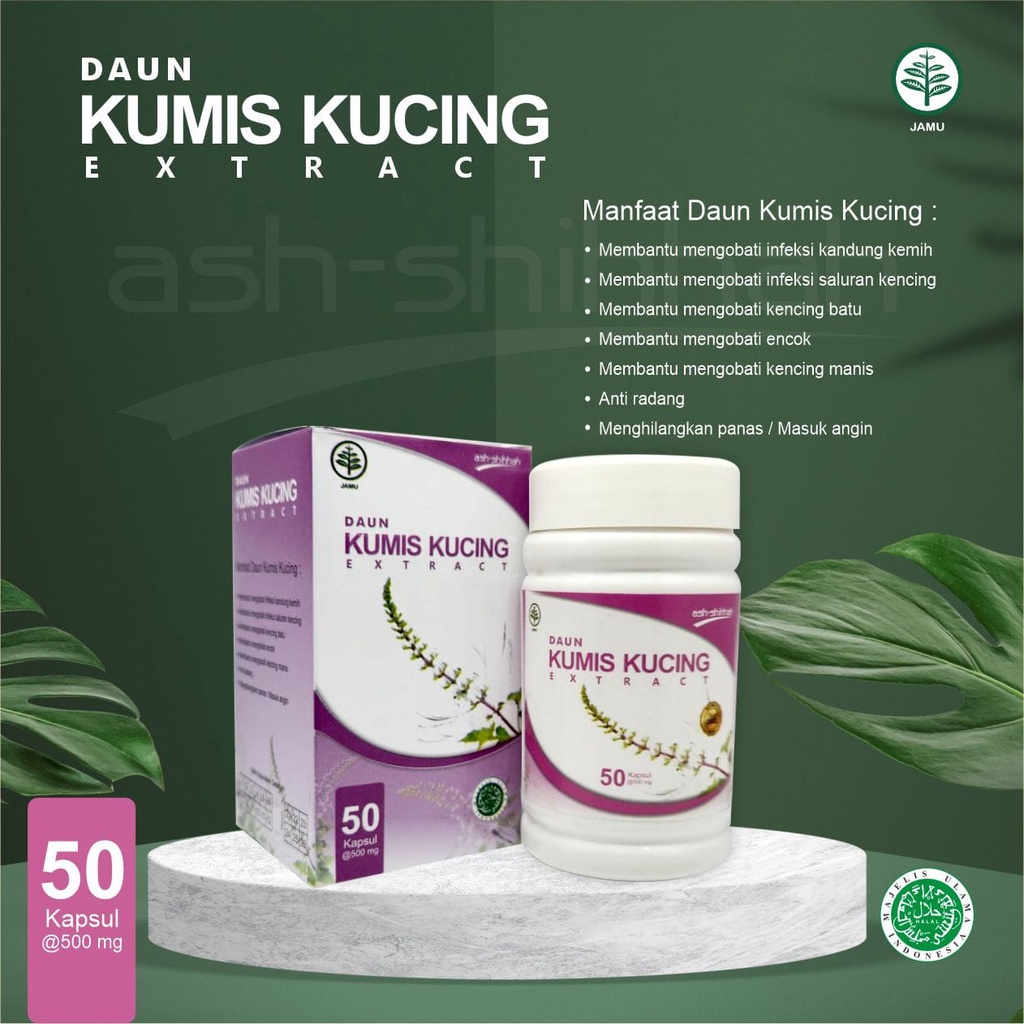 Jual Kapsul Kumis Kucing Ash-Shihhah Original - Herbal Infeksi Saluran ...