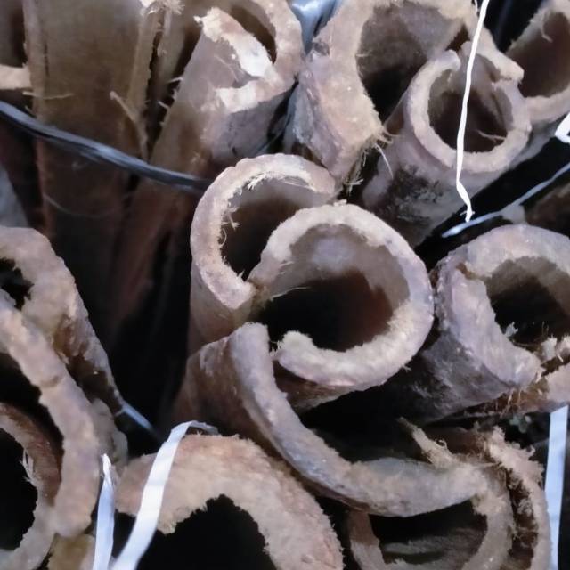 Jual Kulit Kayu raru 1kg | Shopee Indonesia