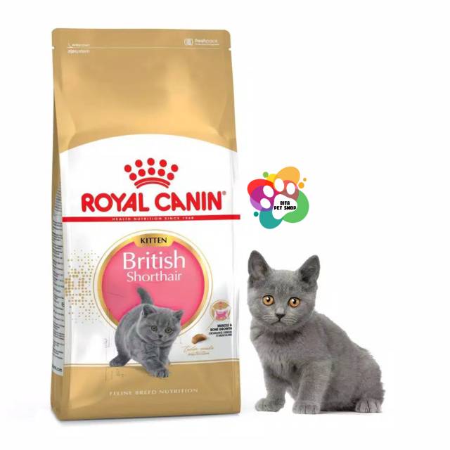 Royal canin british hot sale shorthair kitten 4kg