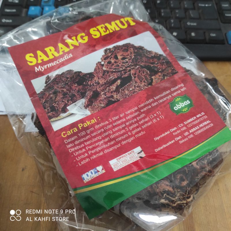Sarang Semut Rebus: Menguak Manfaat Herbal dari Jantung Papua untuk Kesehatan Optimal