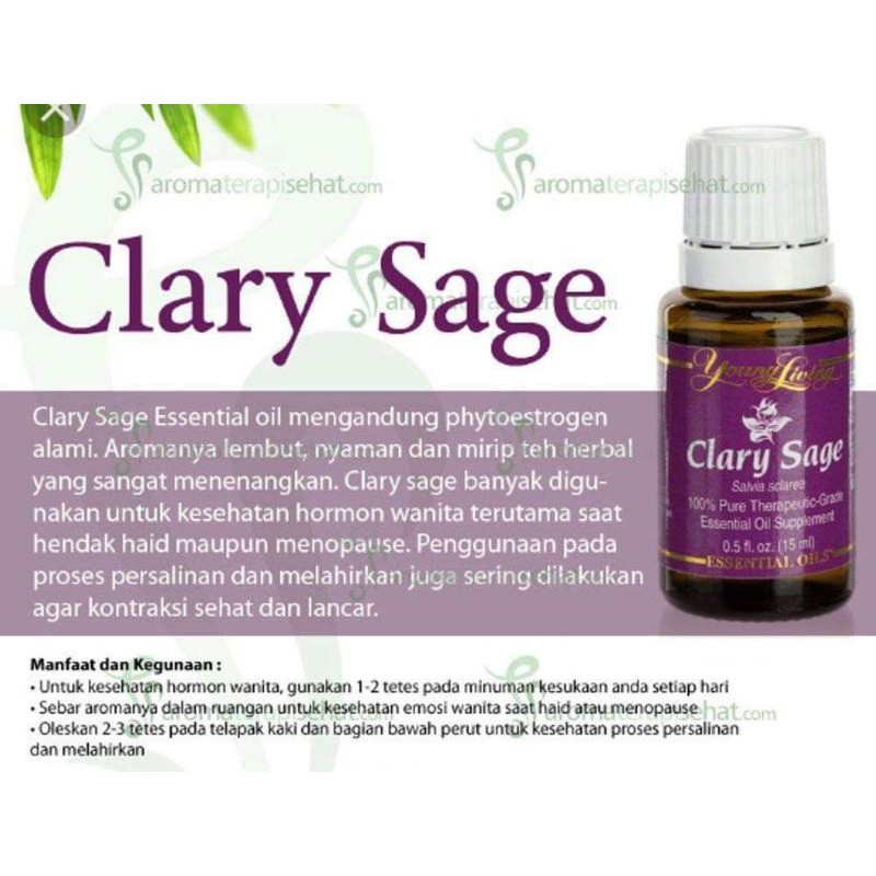 Clary sage 2024 young living