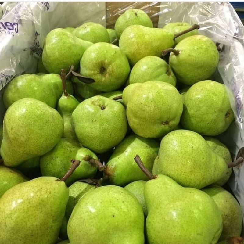 Jual Buah Pear Packham 1kg Shopee Indonesia 